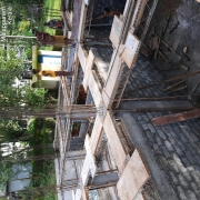 Brace 1