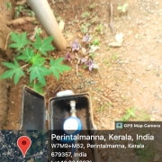 JJM ALIPPARAMBA