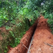 JJM Eranholi