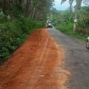 distribution