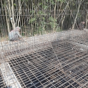 tank reinforcement