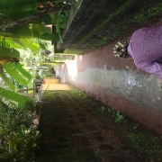 CC Road Restoration Work at Mylampady