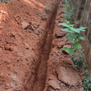 NEW MAHI PANCHAYATH DISTRIBUTION PIPE LAYING