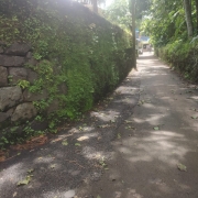 Eranhikkal