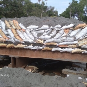 PIle load test conducted -Pile No.B2