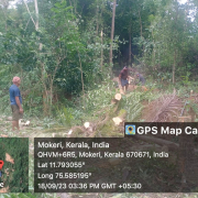 PROPOSED OHSR SITE PLANTS CUTTING