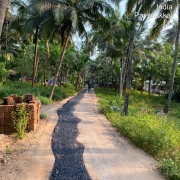 BT road reformation