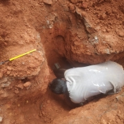 Interconnection work