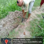 Harippad muncippality house connection work started