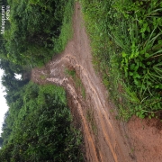 CWPM Route