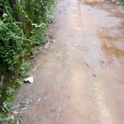Elangottil road