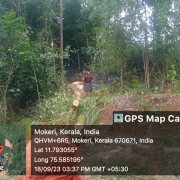PROPOSED TANK SITE TREE CUTTING
