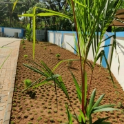 WTP - Landscaping