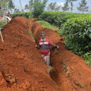 Vythiri-Pipe laying on progress