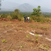 valayakkad  site clearing and soil test work progressing
