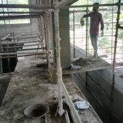 Filter house: column plastering in progress