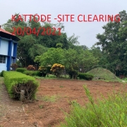 SITE CLEARING