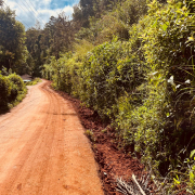 Vythiri -pipe laying on progress 