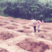 Earth work excavation 