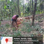 Ward no:13,Kottathala, House connection excavation work in progress 
